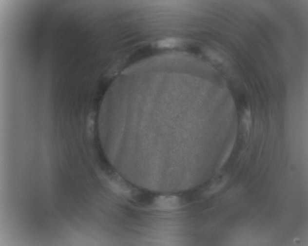 X0000069830271200605261849