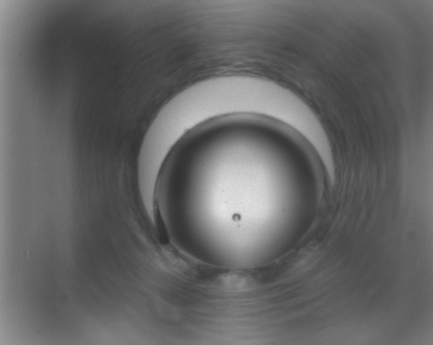 X0000069830272200605261849