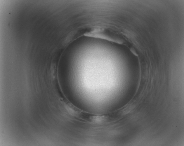 X0000069830273200605261849