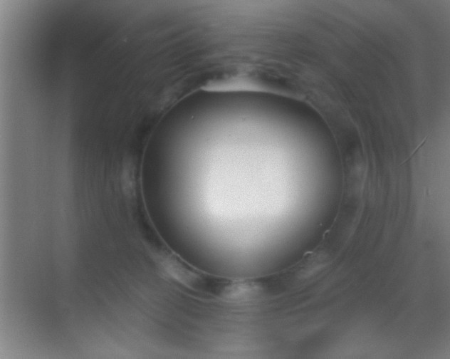 X0000069830274200605261849