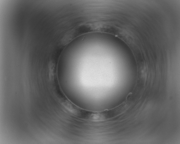 X0000069830275200605261849