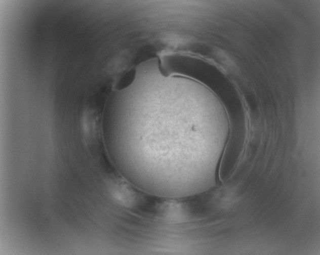 X0000069830276200605261849