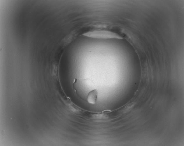 X0000069830281200605261849