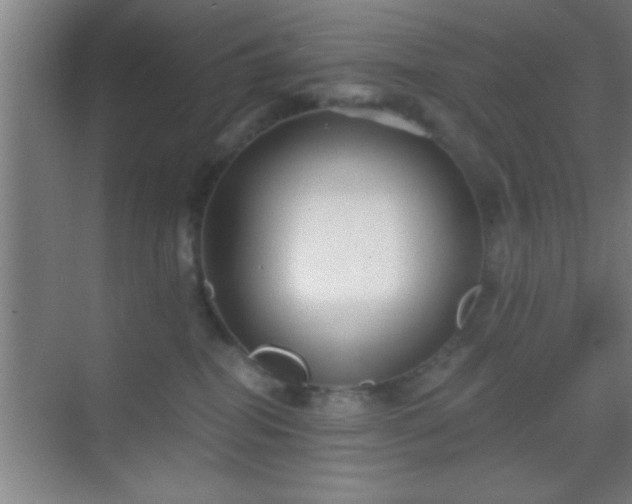 X0000069830282200605261849