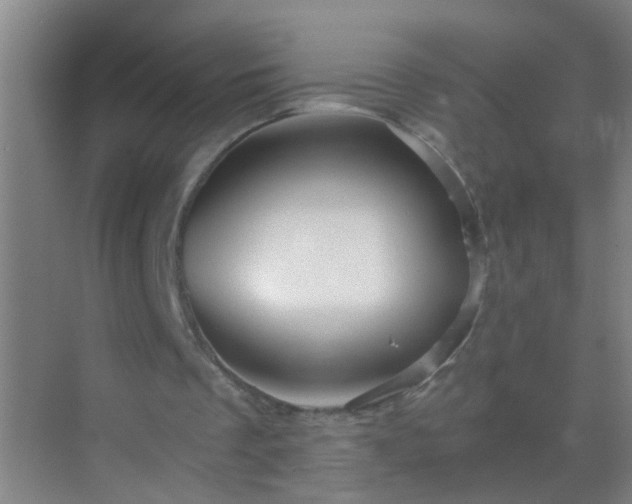 X0000069830289200605261848