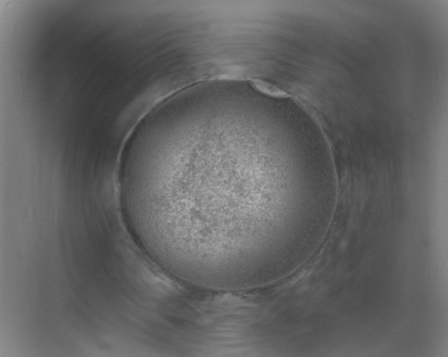 X0000069830290200605261848