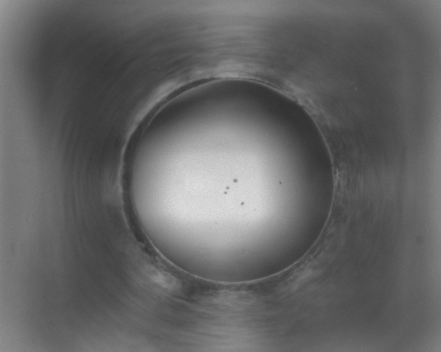 X0000069830292200605261848