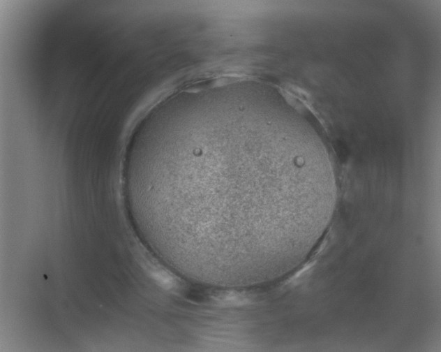 X0000069830293200605261848