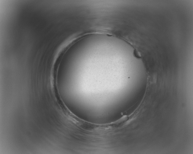 X0000069830294200605261848