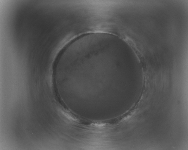 X0000069830295200605261848