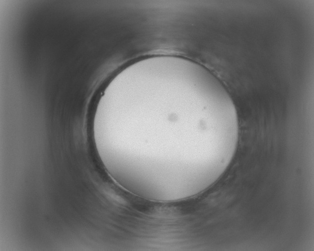 X0000069830296200605261848