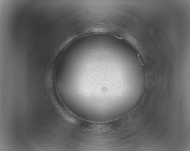 X0000069830297200605261848