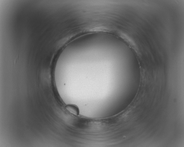 X0000069830298200605261848