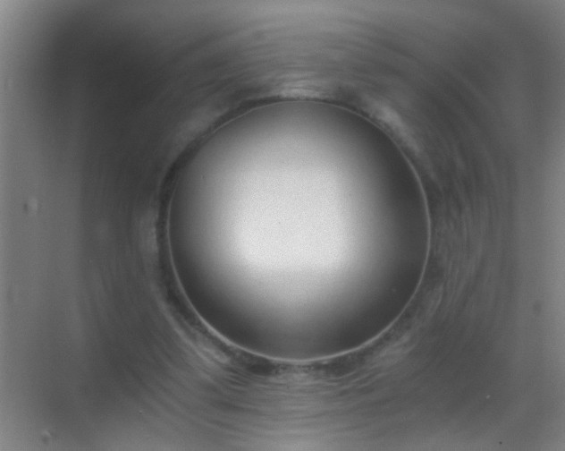 X0000069830299200605261848