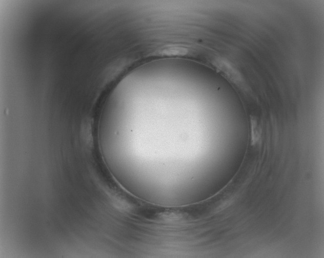 X0000069830300200605261848