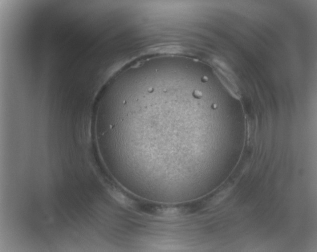 X0000069830301200605261848