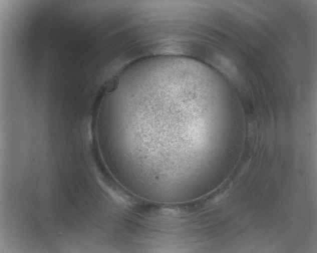 X0000069830302200605261848