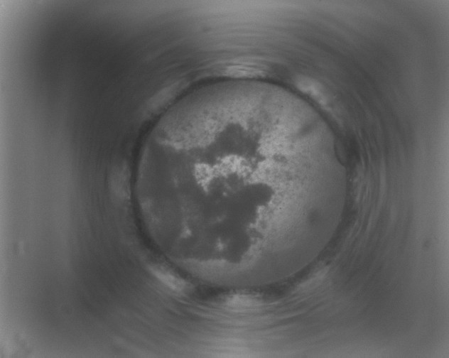 X0000069830303200605261848