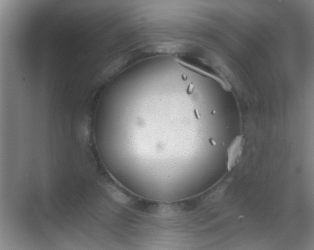 X0000069830305200605261848