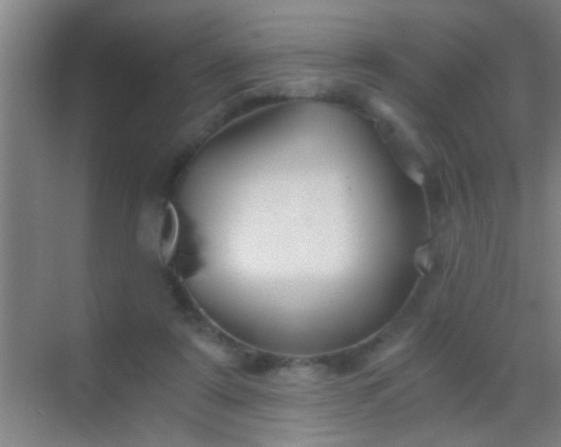 X0000069830307200605261848