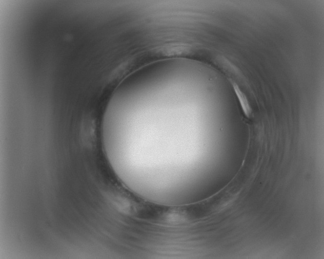 X0000069830308200605261848