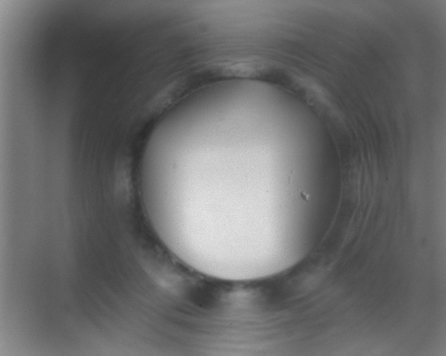 X0000069830312200605261848