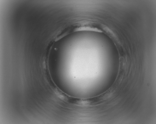 X0000069830313200605261848