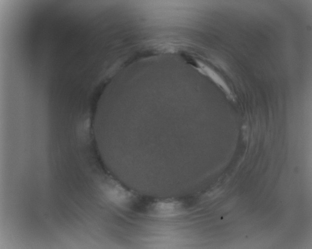 X0000069830314200605261848