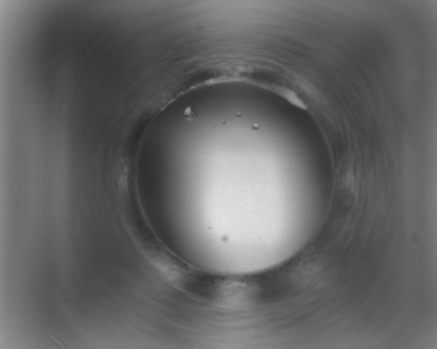 X0000069830315200605261848