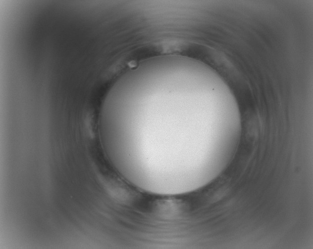 X0000069830316200605261848