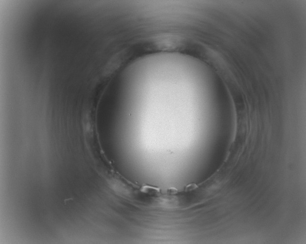 X0000069830317200605261848