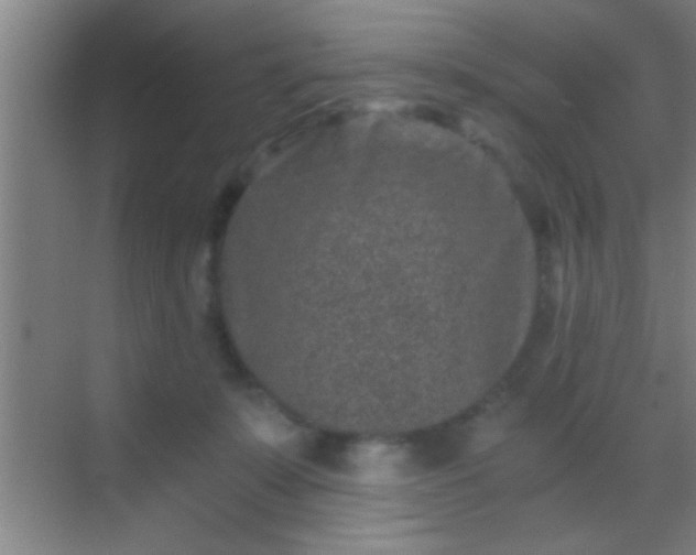 X0000069830319200605261847