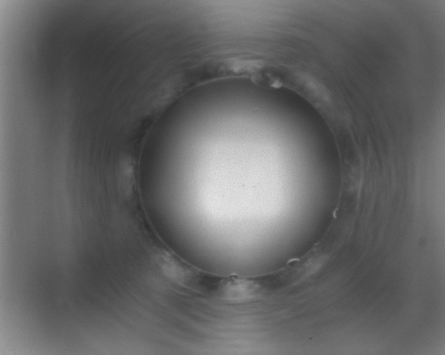 X0000069830321200605261847