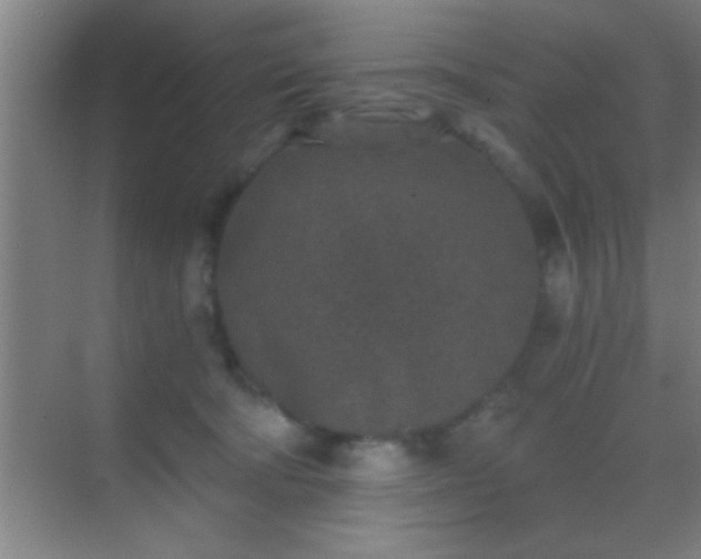 X0000069830322200605261847