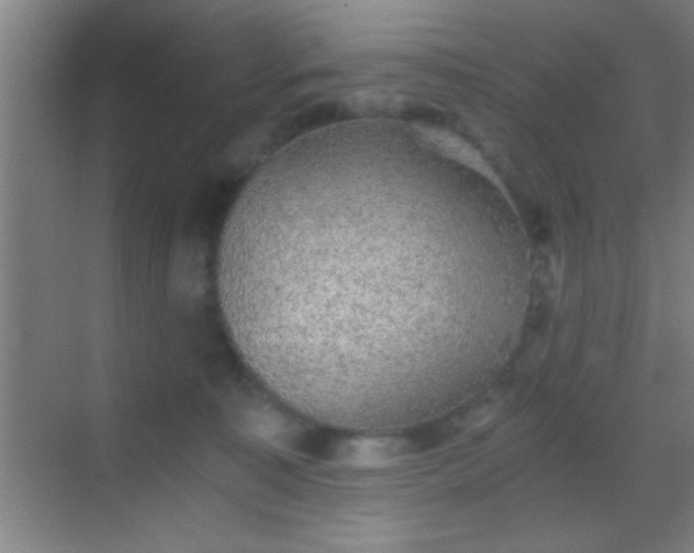 X0000069830323200605261847