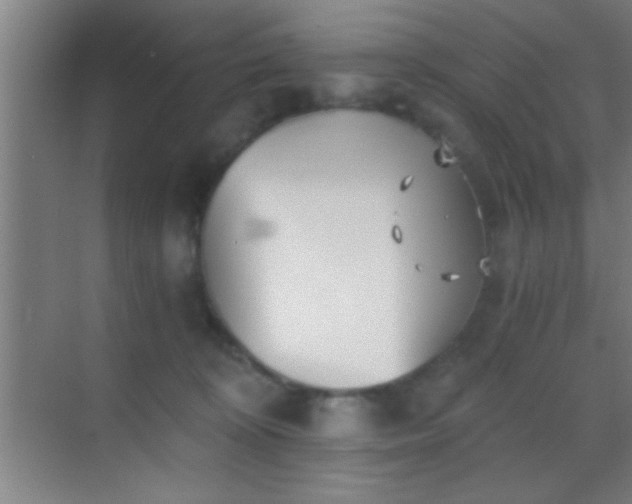 X0000069830324200605261847