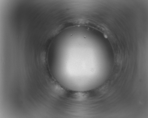 X0000069830326200605261847