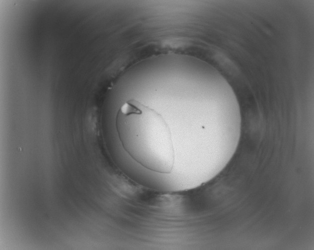 X0000069830328200605261847