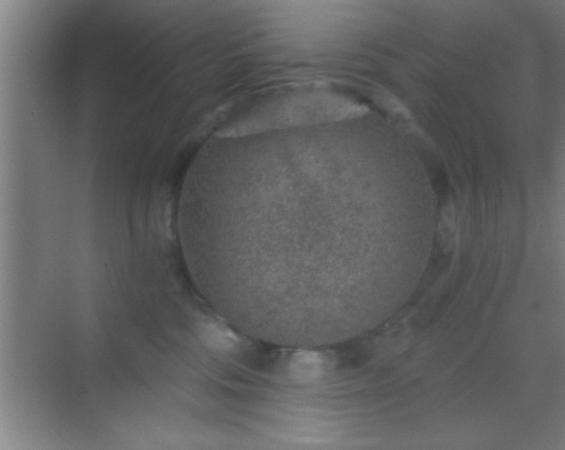 X0000069830330200605261847