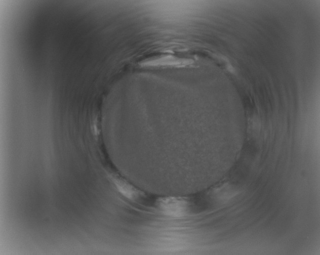 X0000069830331200605261847