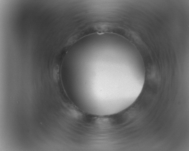 X0000069830332200605261847