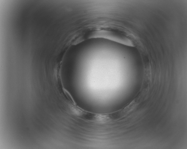 X0000069830333200605261847