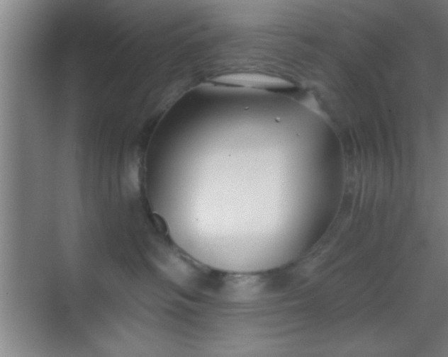 X0000069830334200605261847