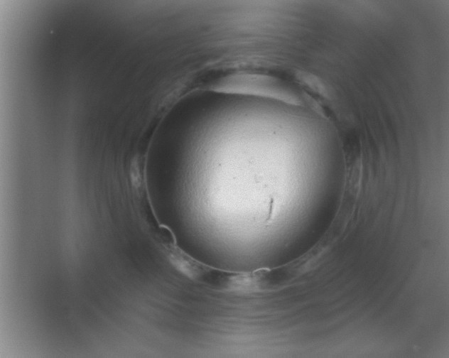 X0000069830335200605261847