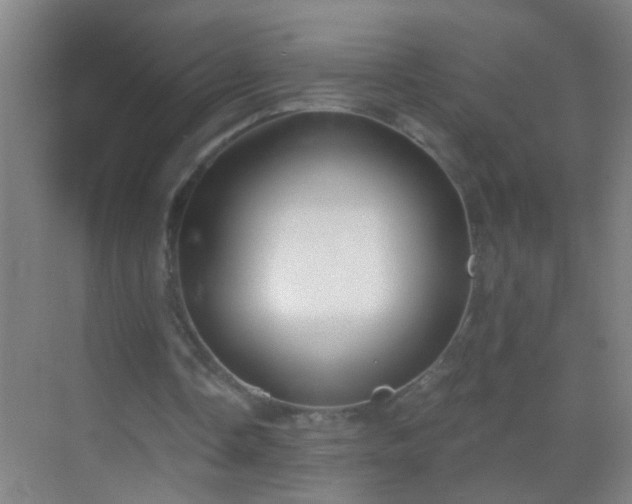 X0000069830338200605261846