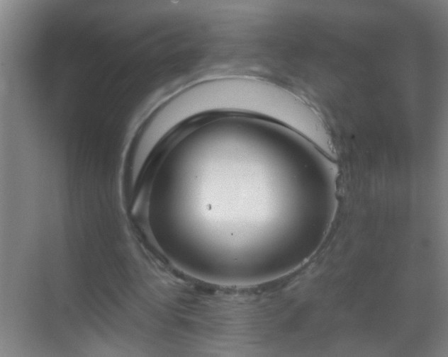 X0000069830340200605261846