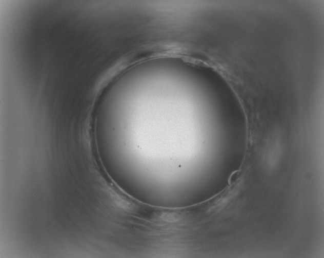 X0000069830341200605261846