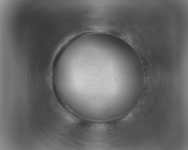 X0000069830342200605261846