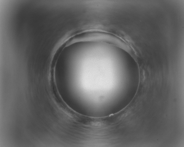 X0000069830344200605261847