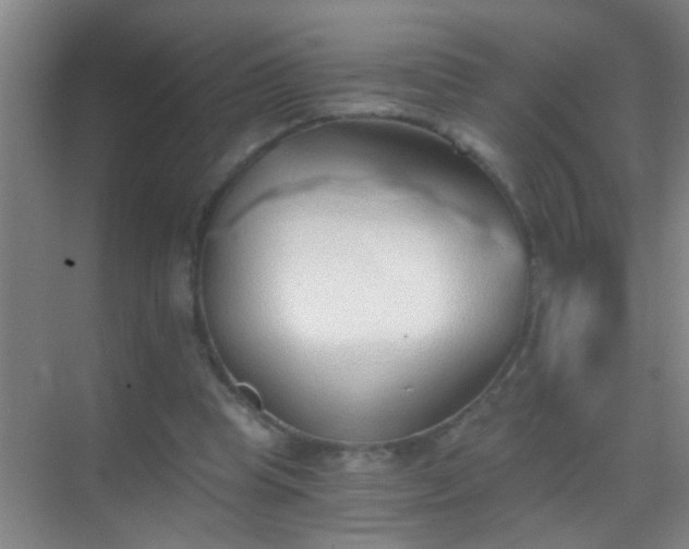 X0000069830345200605261847